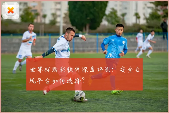世界杯购彩软件深度评测:安全合规平台如何选择?