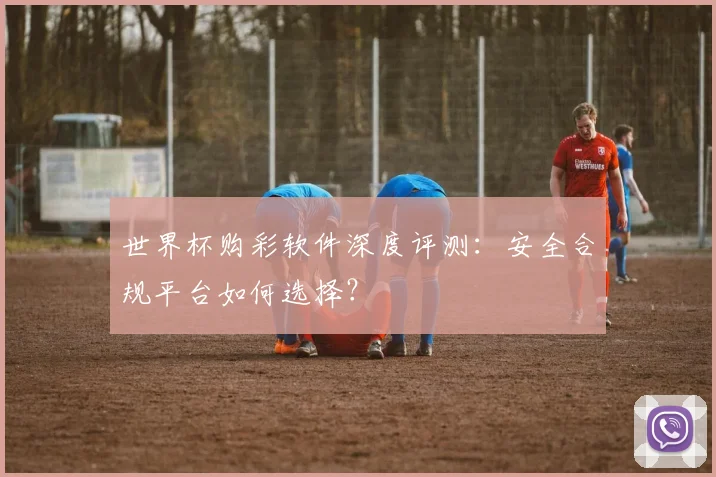 世界杯购彩软件深度评测:安全合规平台如何选择?