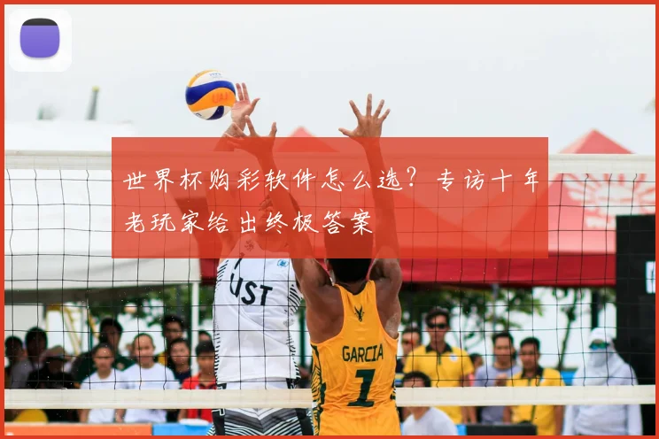 世界杯购彩软件怎么选?专访十年老玩家给出终极答案