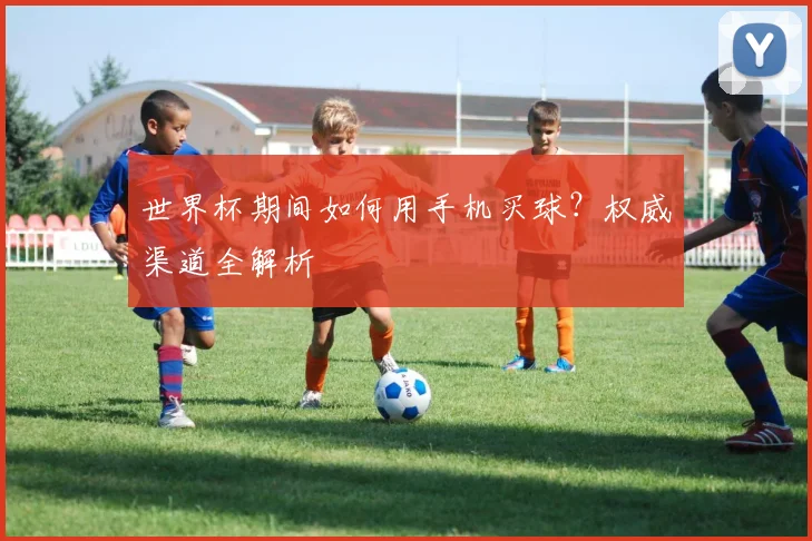 世界杯期间如何用手机买球？权威渠道全解析